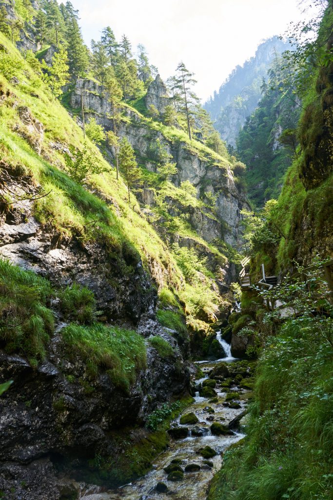 Wasserlochklamm Palfau