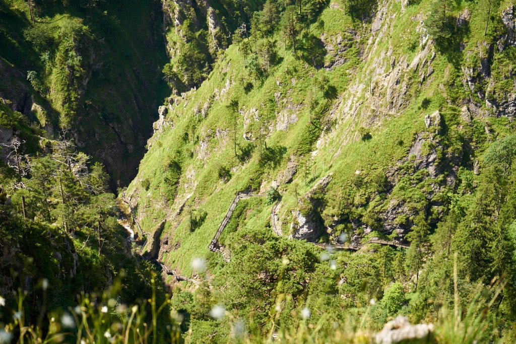 Wandern in der Wasserlochklamm Palfau.