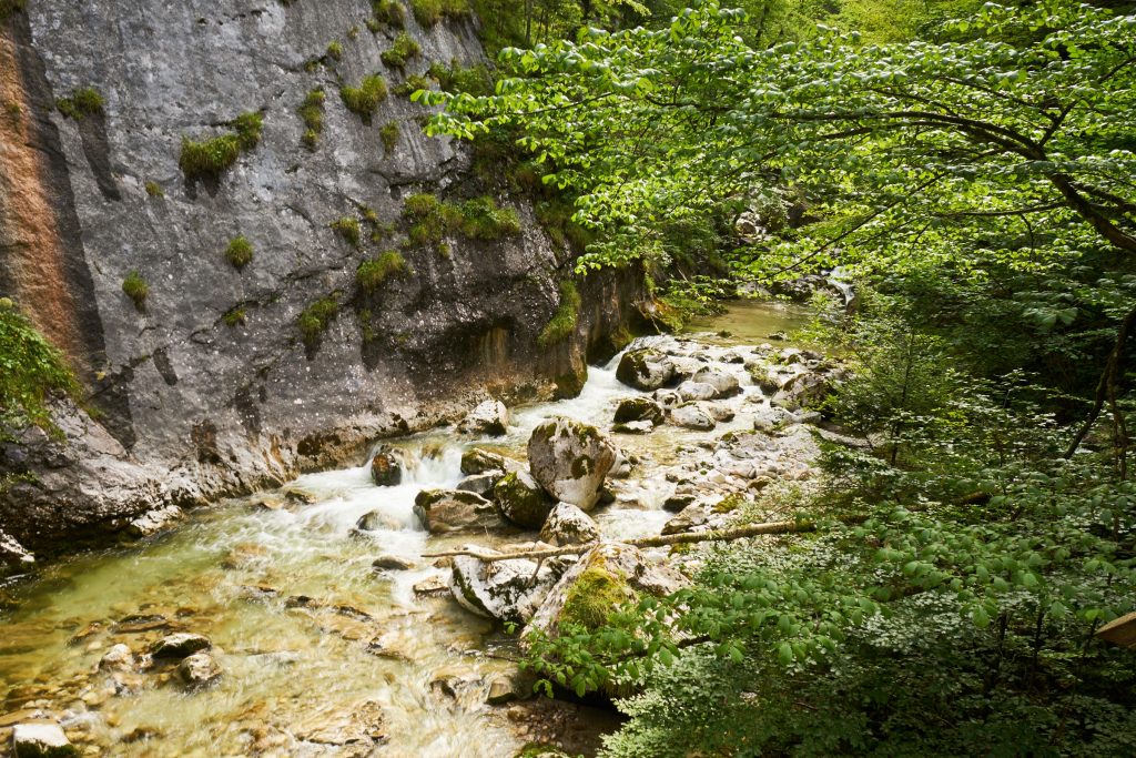 Nothklamm in Gams